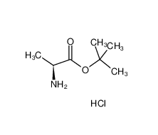 L-丙氨酸叔丁酯鹽酸鹽|13404-22-3 