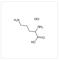 (±)-2,5-二氨基戊酸 單鹽酸鹽|1069-31-4 